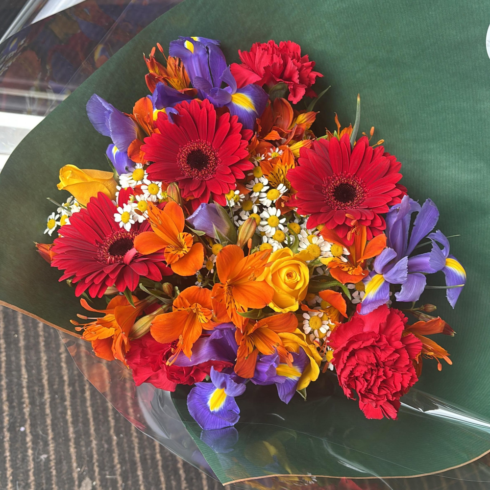 Fiesta Bloom Burst Product Image